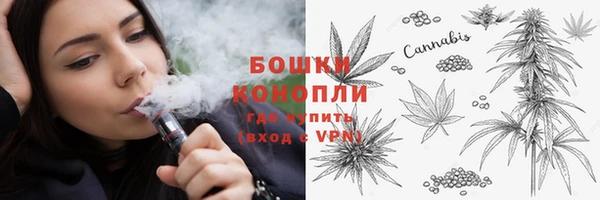 стаф Михайлов